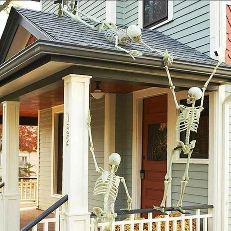 Hanging Skeleton