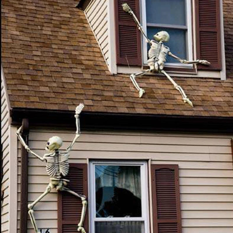 Hanging Skeleton