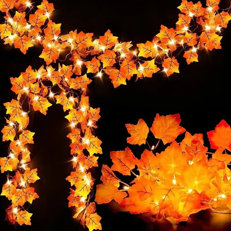 Illuminated maple leaf and pumpkin series