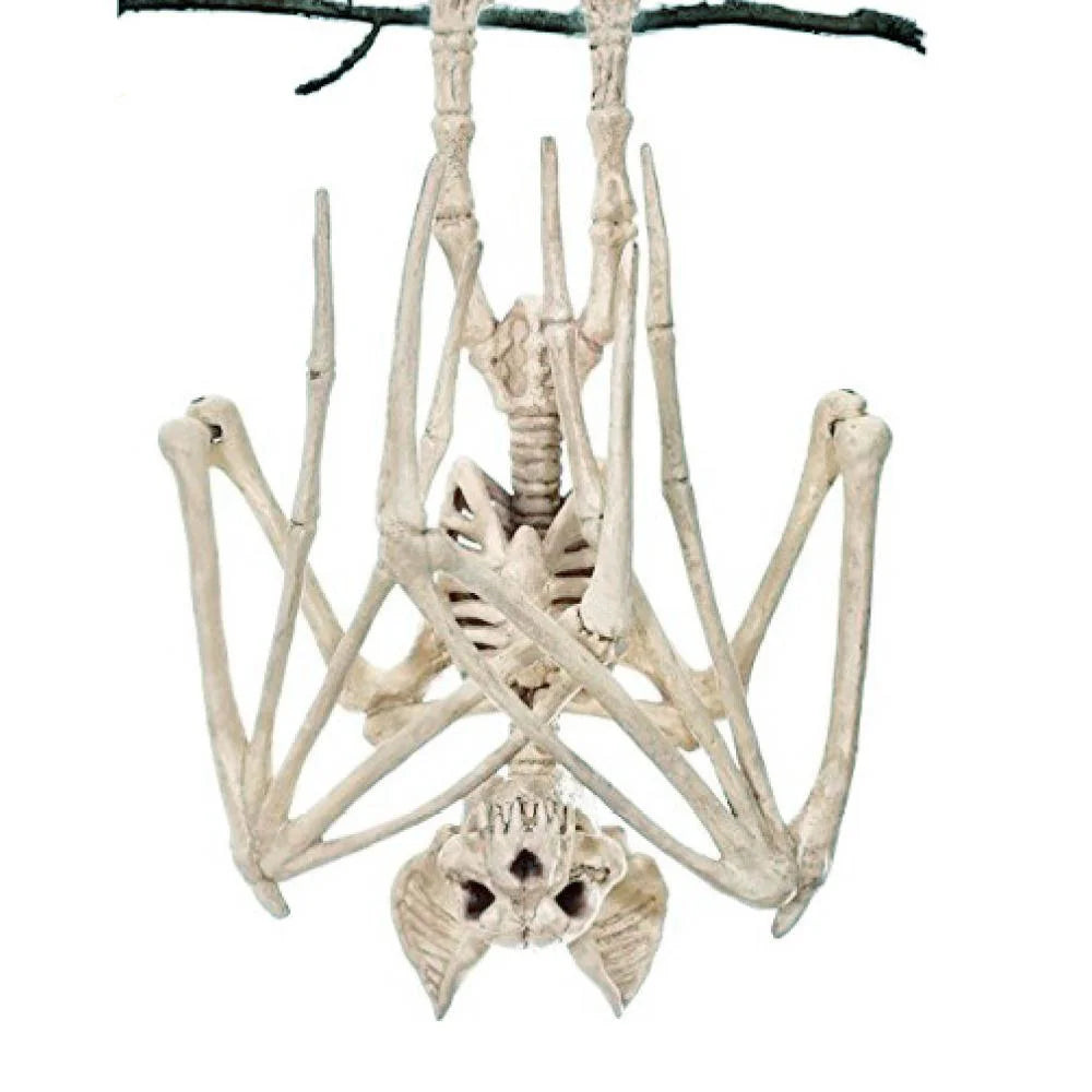 Bat Skeleton