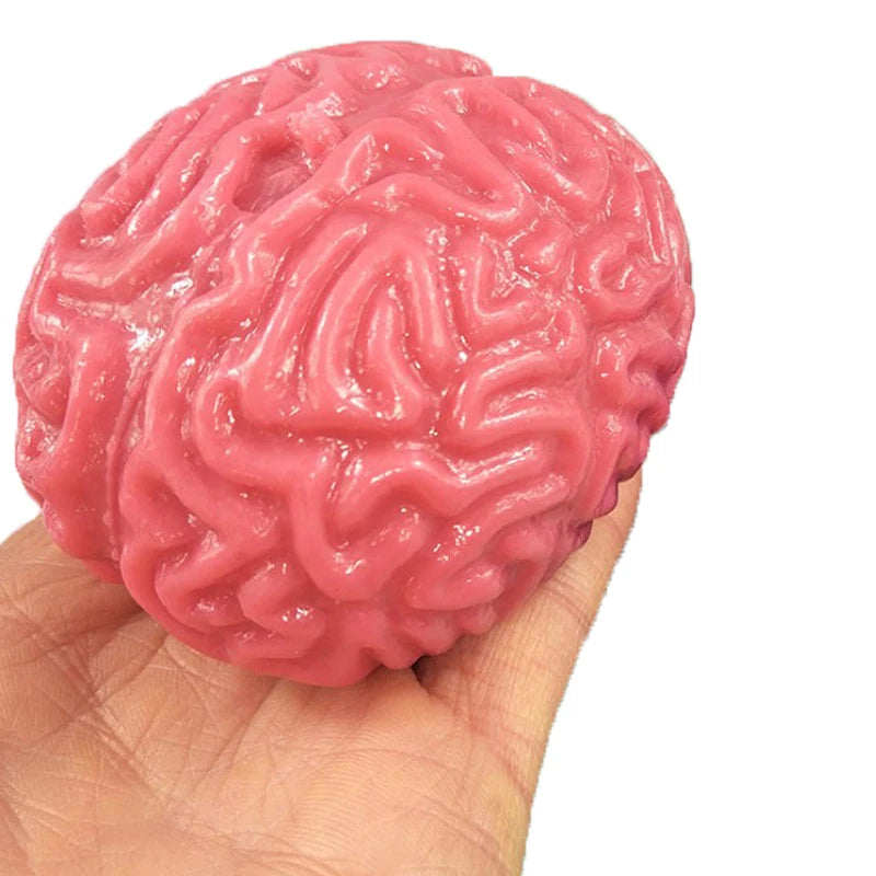 Silicone rubber brain