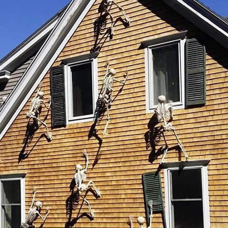 Hanging Skeleton