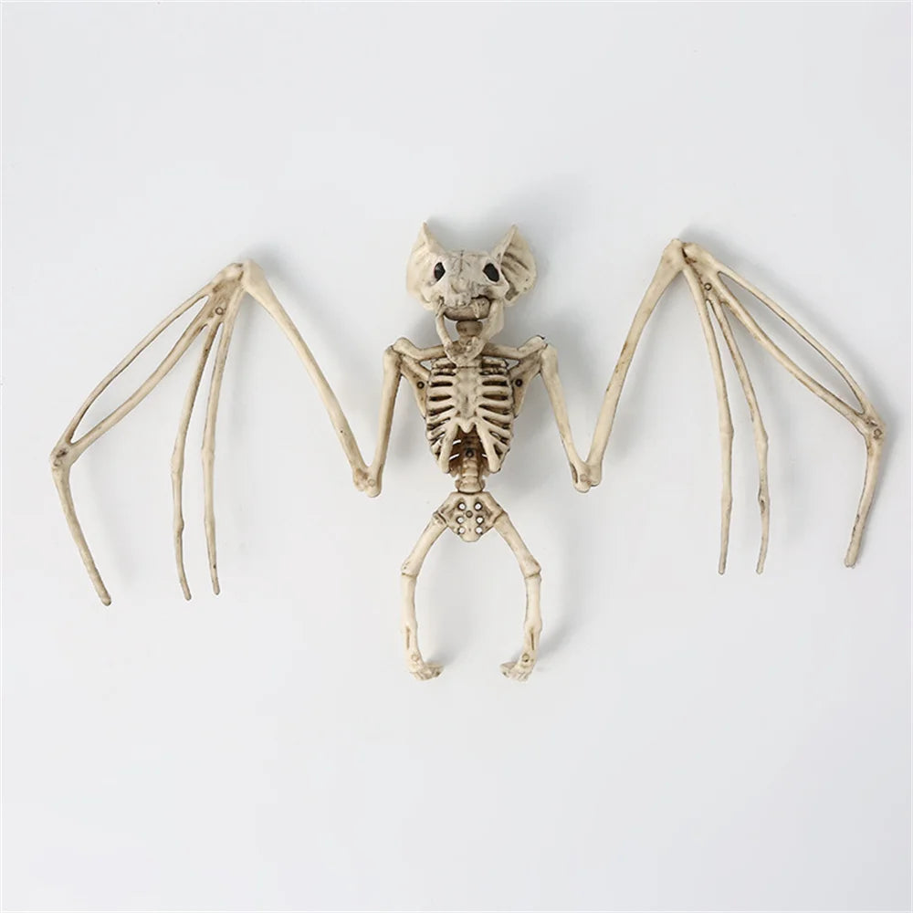 Bat Skeleton