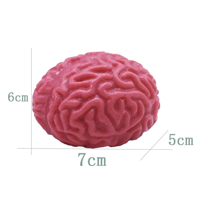 Silicone rubber brain