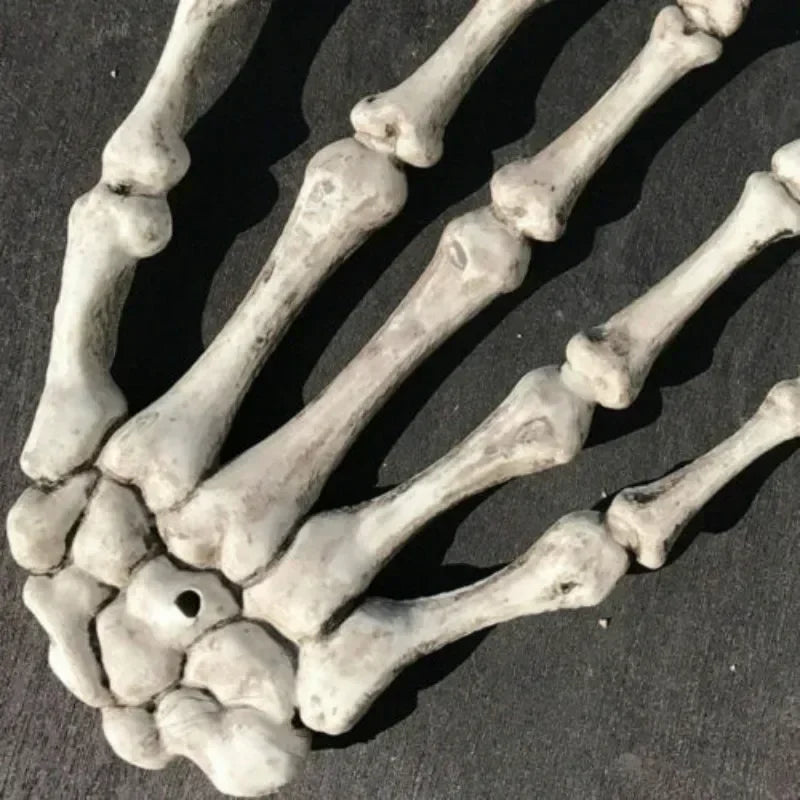 Realistic Size Skeleton Hand For Halloween